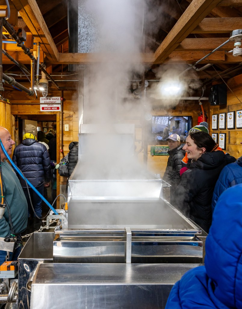 Steaming maple syrup vat inside the sugar house at Merrifield Farm