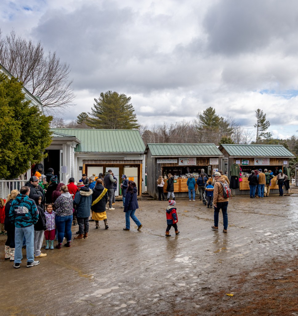 Families and kids spending time around Merrifield Farm during Maine Maple Sunday