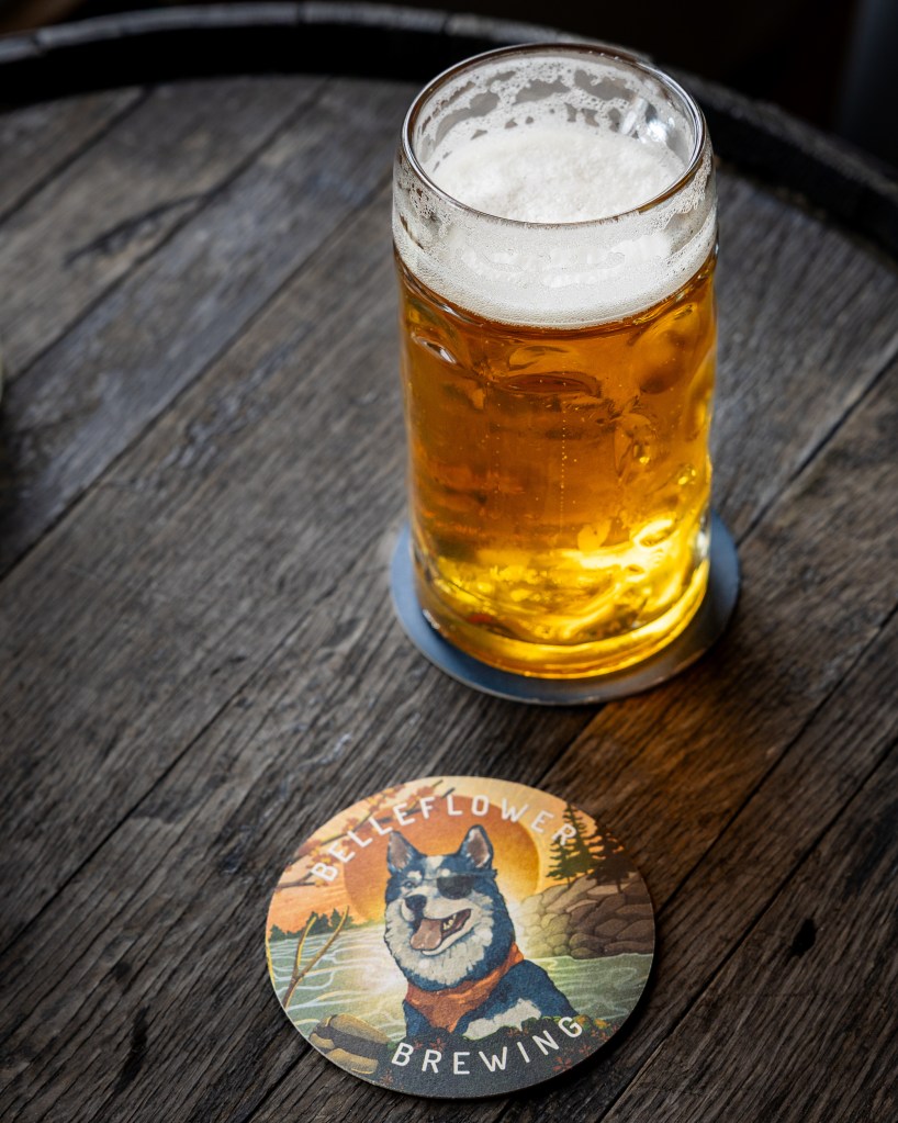 Italian pilsner in glass near window light